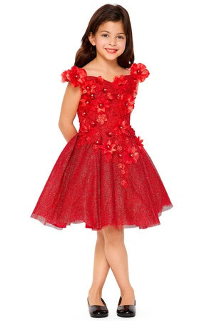 Girls Dress 04-3D flower girl dress