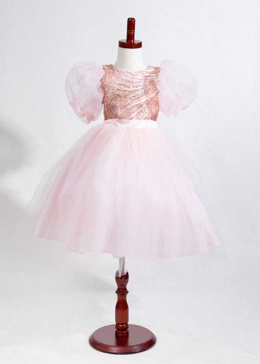 Girls Dress 10-Princess Dress