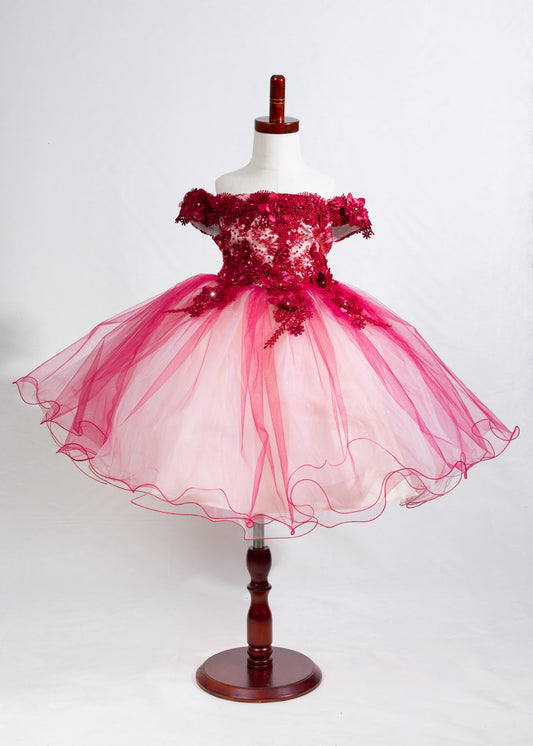 Girls Dress 14-two tone 3Dflower